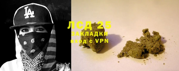 ГАЛЛЮЦИНОГЕННЫЕ ГРИБЫ Алексеевка